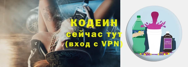 дмт Арсеньев