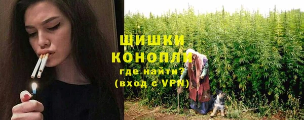 крисы Армянск