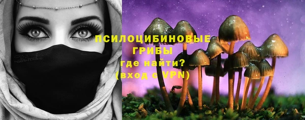 крисы Армянск