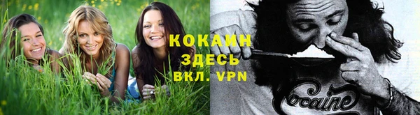 крисы Армянск
