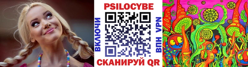 KRAKEN ТОР  Ступино  Галлюциногенные грибы Cubensis 